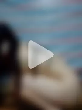 Georgia_here photo 24