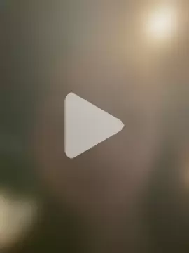 GeorgiandCoi photo 10