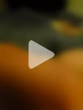 GermanTeenDick06 photo 17