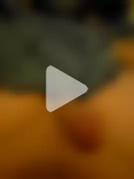 GermanTeenDick06 photo 11