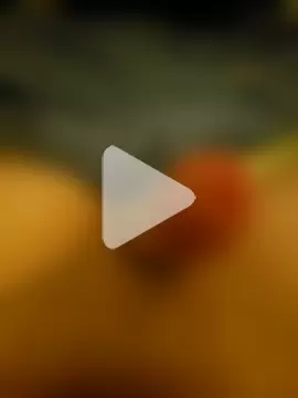 GermanTeenDick06 photo 8