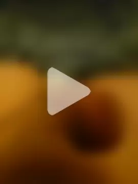 GermanTeenDick06 photo 7