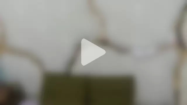 Gianna_Johnson photo 1