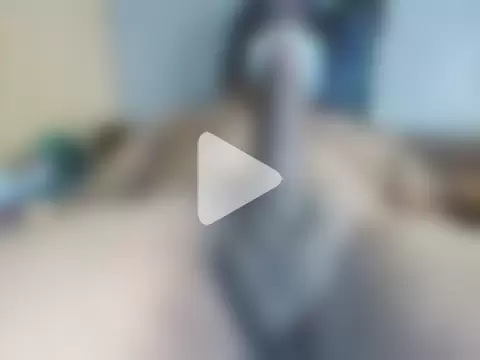 GigoloBlackDick photo 15