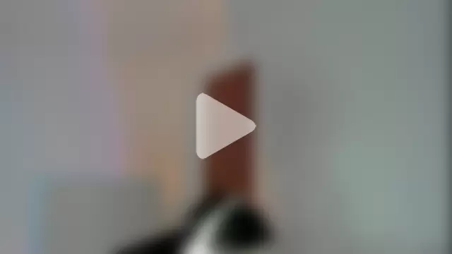 Giordano_Russo photo 12