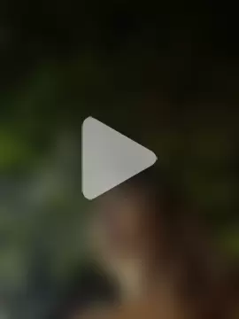 Gipoltergeist photo 3