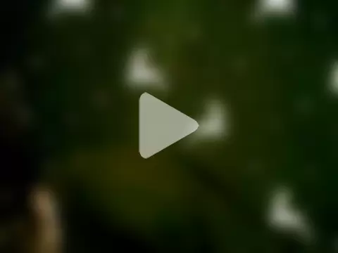 Girlexcitantaddict1 photo 24