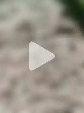 Girls_pussy_rider photo 18