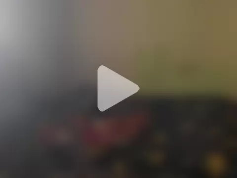 GoddessXXX9inchTOOL photo 5