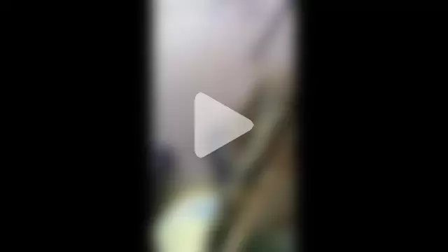 Greek_crazy_couple photo 10