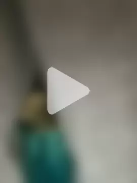 GusanoDelicioso photo 3