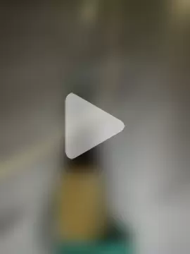 GusanoDelicioso photo 1