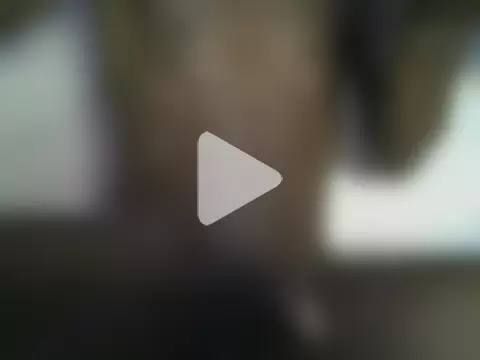 HUNKY-SMITH photo 23