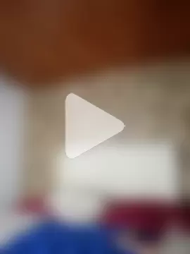 Hammy-steve01 photo 2