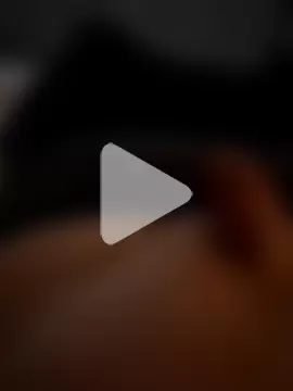 Hamsterdich photo 18