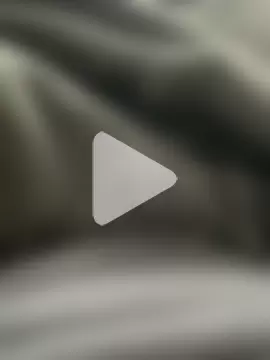 Hamsterdich photo 11