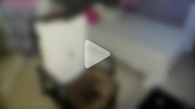 HannaEbony7 photo 12