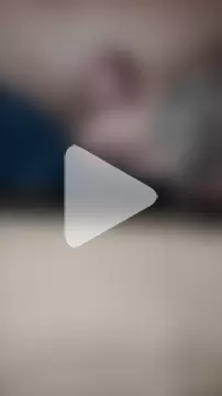 HappyZebra13 photo 3