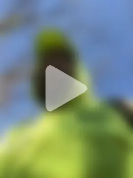 HardPierced29 photo 4