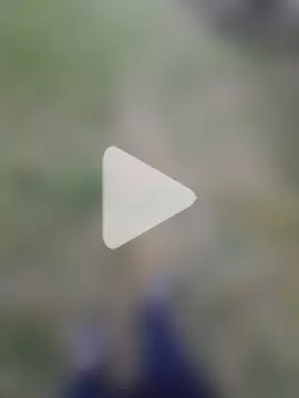 Hard___Dick1 photo 2