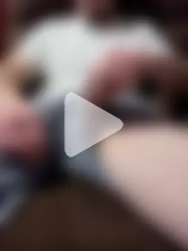 HardenedYakut photo 14