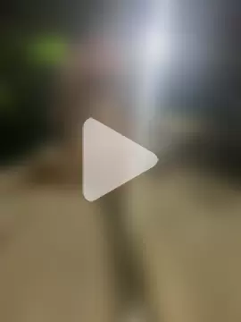 HealingHoney photo 24