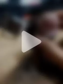 HeftyTheory7 photo 25