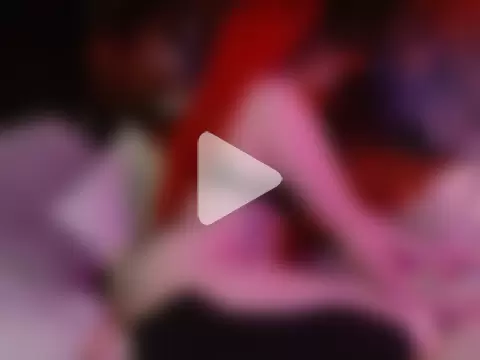 HighCityHoney photo 21