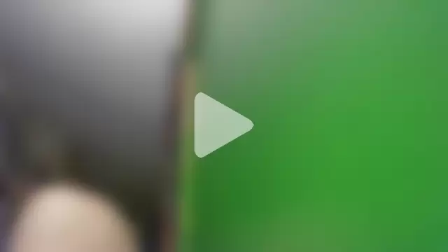 HippieDad333 photo 13