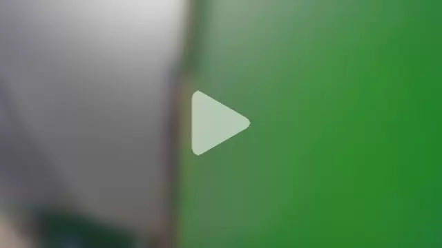 HippieDad333 photo 9