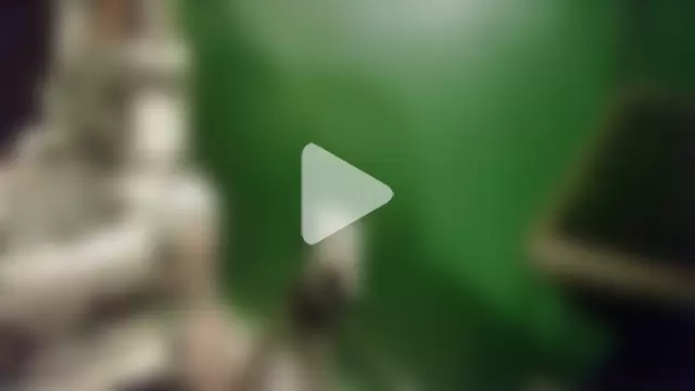 HippieDad333 photo 6