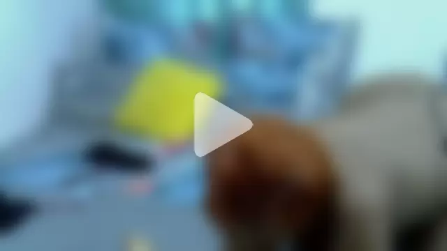 HipsDontLieX95 photo 5