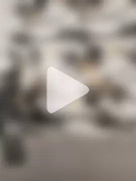 Hiroshi_Shen photo 18