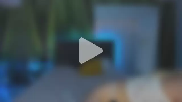 HollyTailors photo 13