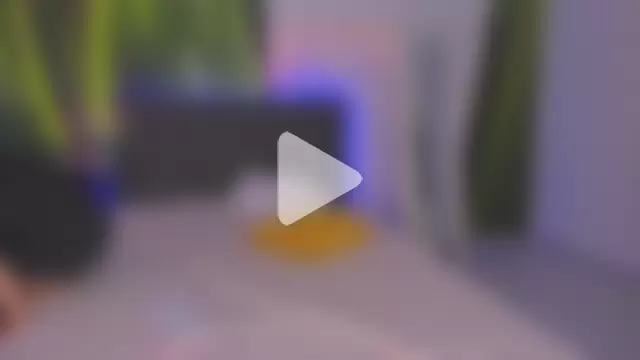 HollyTailors photo 2