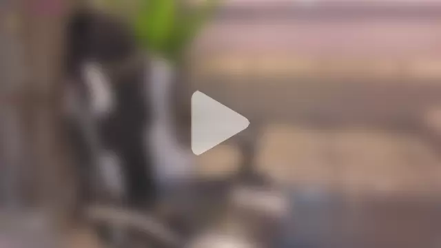 Hollypeyton_Tp photo 14