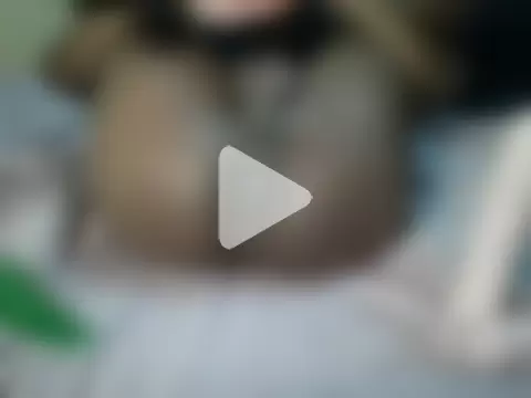 HomeBully photo 16