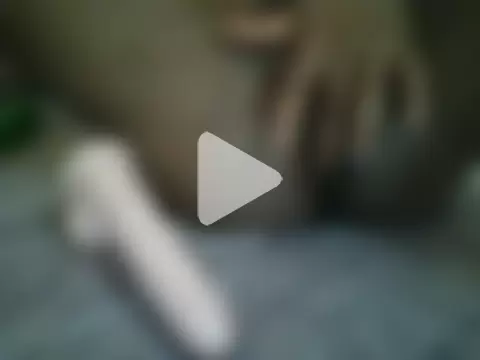HomeBully photo 13