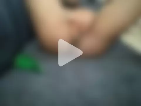 HomeBully photo 3
