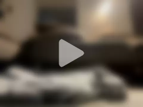 Honeymoon1985 photo 1