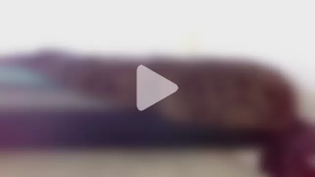 Honor_Daddy photo 25