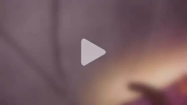 HornySlut69_ photo 2