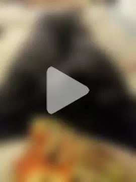 Horny_boy321 photo 16