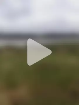 Horny_bull28 photo 25