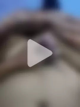 Horny_bull28 photo 13