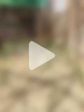 Horny_bull28 photo 9