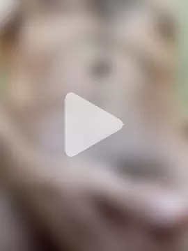 Hotdaddy4u136 photo 26