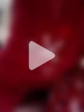 Hottiesophie photo 10