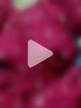 Hotty-romi3 photo 12