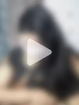 Hotty_Kavita photo 3